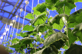 Чукотка усиливает продовольственную безопасность благодаря реализации поручений Президента