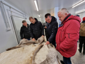 На Чукотке построят завод по переработке продукции морского зверя