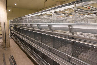 Губернатор Чукотки: Увеличиваем производство яйца до 100% от необходимого