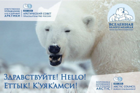 В Чукотском АО в шестой раз состоится Международная научно-практическая конференция «Вселенная белого медведя»