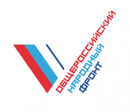По инициативе ОНФ создан сайт для общественного контроля за расходованием средств, поступающих для пострадавших в Магнитогорске
