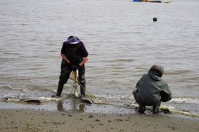 Четыре новых участка для любительского рыболовства планируют организовать на Чукотке