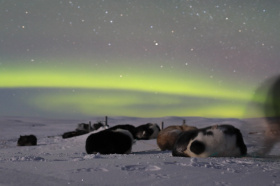 На Чукотке проведен мониторинг законодательства за вторую половину февраля 2026 года 