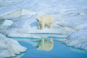 Ветераны труда получили праздничные выплаты ко Дню рождения Чукотки