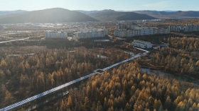 На Чукотке создадут авиационное отделение охраны лесов в Билибино
