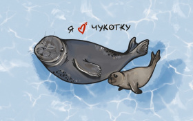 Почти 500 человек оформили «Карту жителя Чукотки»