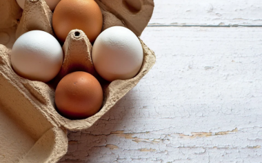На Чукотке расширят производство куриных яиц