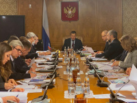 Юрий Трутнев провёл первое заседание Оргкомитета по подготовке и обеспечению председательства РФ в Арктическом совете в 2021–2023 годах