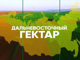 «Дальневосточный гектар» на Чукотке: более 1300 семей получили землю для ведения хозяйства и строительства