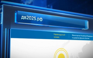 На портале дв2025.рф началось голосование за меры по развитию социальной сферы Дальнего Востока