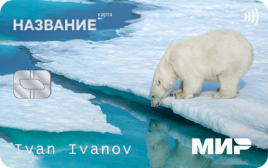 Подведены итоги опроса общественного мнения о единой социальной карте для жителей Чукотки