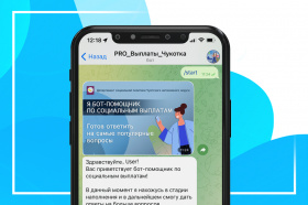 На Чукотке заработал чат-бот для помощи в получении соцвыплат