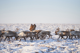 Более 30 млн. рублей будет направлено на выплаты ветеранам труда Чукотки в этом году