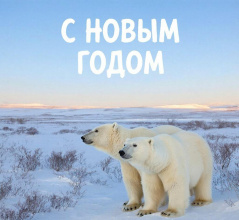 На Чукотке стартовал конкурс на лучшую новогоднюю открытку