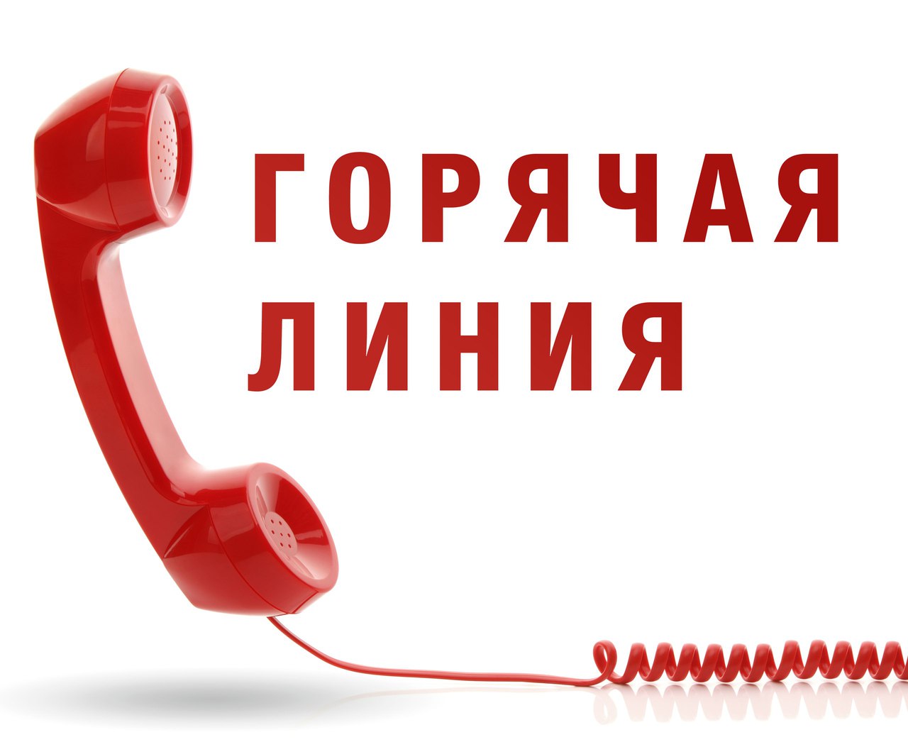 Комитет природных ресурсов и экологии Чукотского автономного округа информирует
