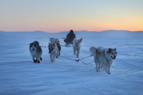 Чукотка развивает массовый спорт, следуя курсу Президента
