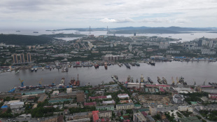 Новый резидент свободного порта Владивосток запустит доставку автомобилей и комплектующих в регионы России 