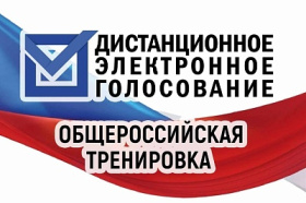 Жителям Чукотки предлагают поучаствовать в тренировке дистанционного электронного голосования