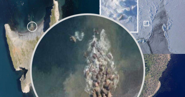 Экологи проведут комплексное исследование побережья Чукотского моря