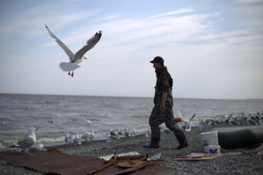 Для коренных народов Севера вводится «беззаявительный» принцип традиционного рыболовства