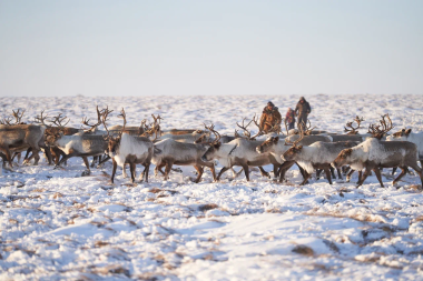 В столице Чукотки завершился форум работников традиционных отраслей 