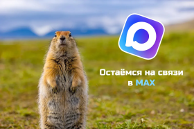 МАХ на Чукотке: удобные сервисы для решения повседневных дел