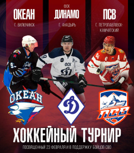 На Чукотке впервые пройдет «Кубок Героев»: на лед выйдут сильнейшие команды