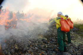 Авиапожарные Чукотки тушат крупный лесной пожар в Билибинском районе