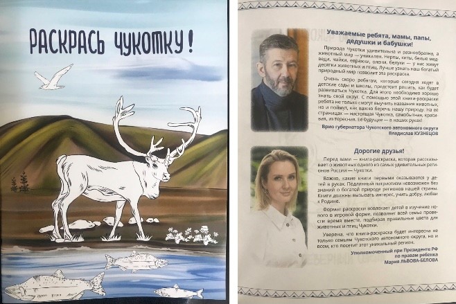 Инициатива члена Детского общественного совета Анны Брыковой поддержана Губернатором Чукотки и воплощена в жизнь